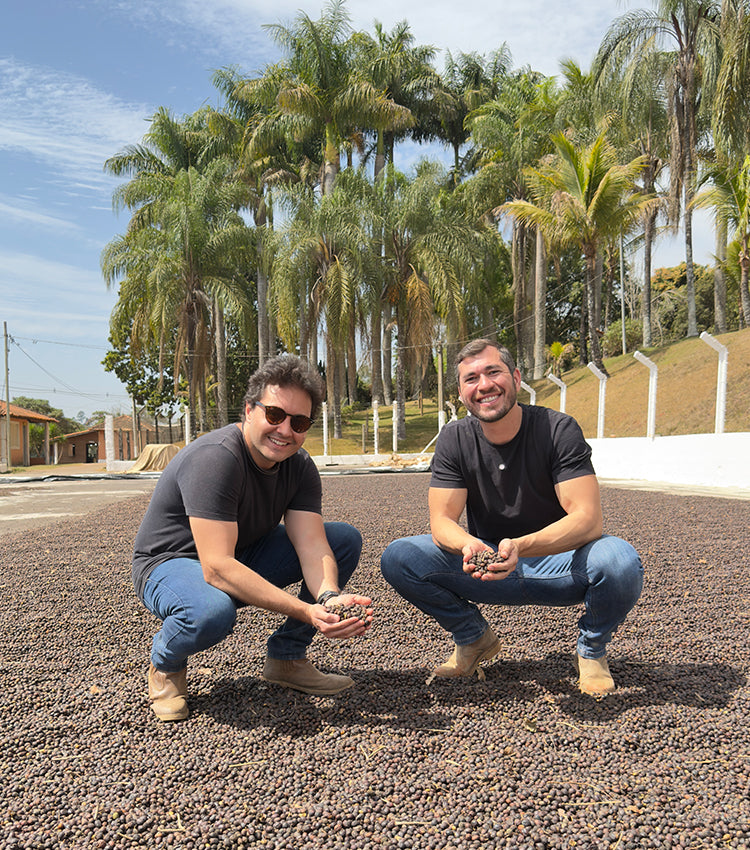 Bruno e Marcelo, sócios da Farm Coffee, num terreiro de secagem de café